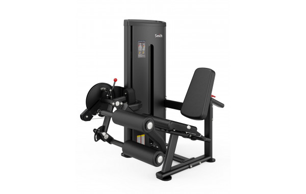 Разгибание\Сгибание ног Smith Fitness DA025 600_380