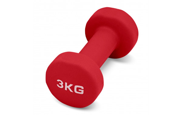 Гантель для аэробики неопреновая 3 кг PRCTZ NEOPRENE DUMBBELL PS7115 600_380