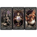 Карты Таро Fournier Anne Stokes Gotic Tarot F41590 75_75