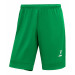 Шорты игровые Jogel DIVISION PerFormDRY Union Shorts, зеленый 75_75