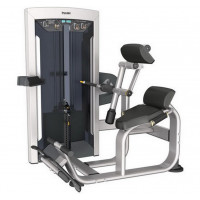 Разгибание спины Aerofit 134 кг FE9732